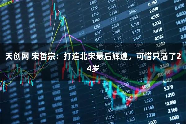 天创网 宋哲宗：打造北宋最后辉煌，可惜只活了24岁