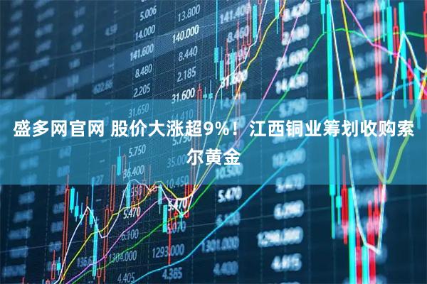 盛多网官网 股价大涨超9%！江西铜业筹划收购索尔黄金